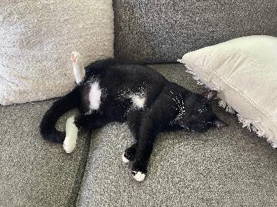 Breaking down burnout