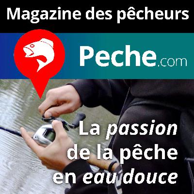 Pêche du black-bass en automne, les leurres et techniques à utiliser