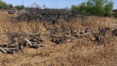 Garden House Plans Approved