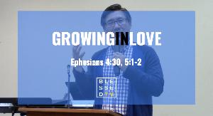 Blessed Sundays: Growing in Love Blessed Sundays: Growing in Love