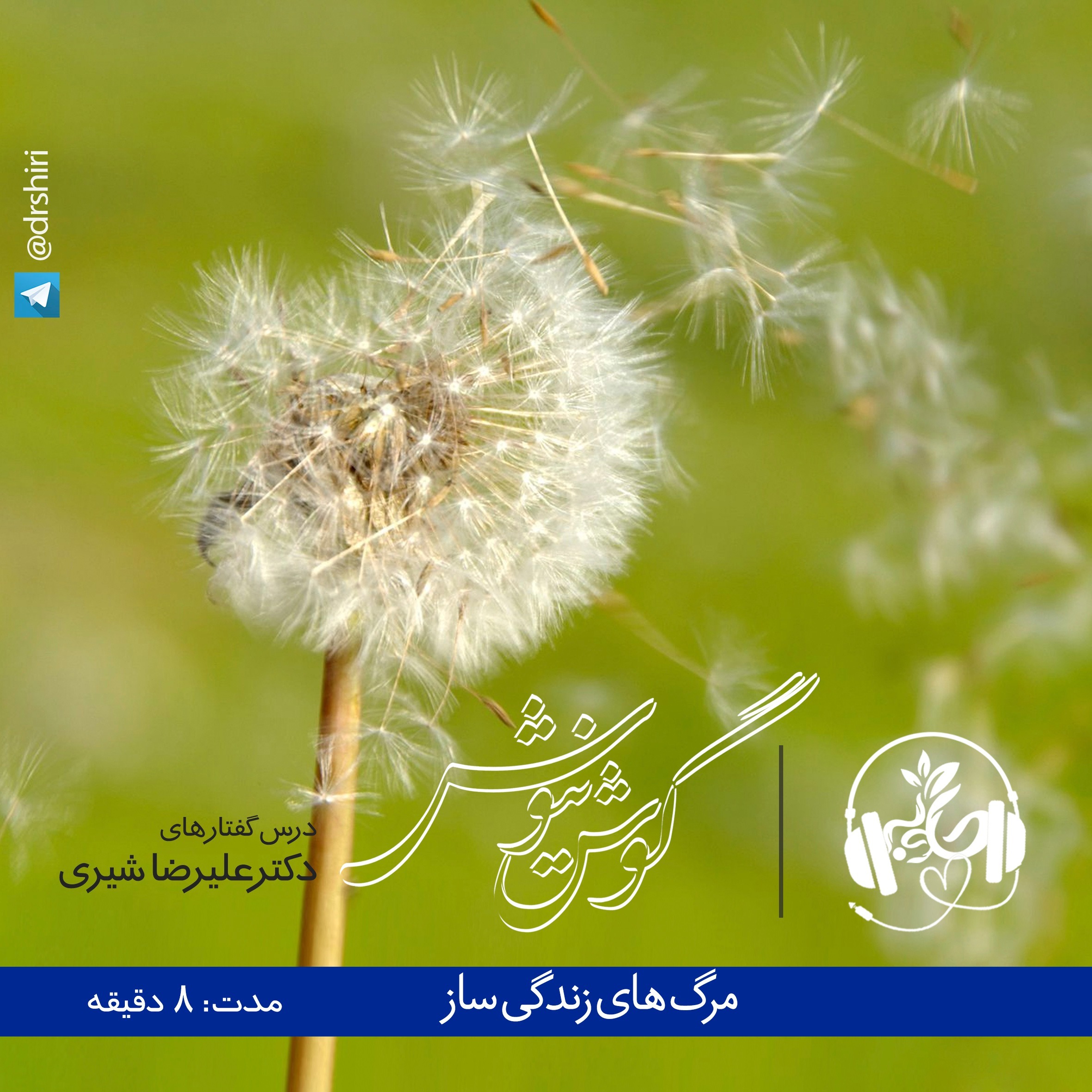 مرگ های زندگی ساز