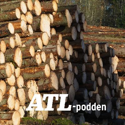 Spännande marknadsläge i skogen