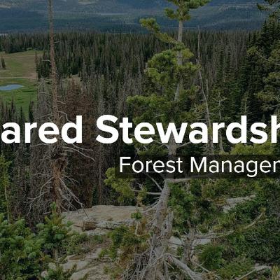Episode 52: Shared Stewardship and Forests in Utah 2021 update