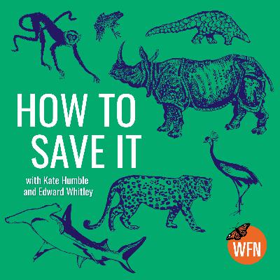 Tapirs, Night Monkeys and what it takes to save the Amazon