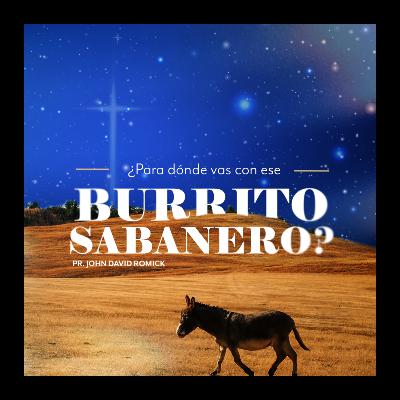 ¿PARA DÓNDE VAS CON ESE BURRITO SABANERO'