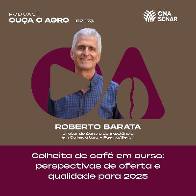 Colheita de café em curso: perspectivas de oferta e qualidade para 2025 #173