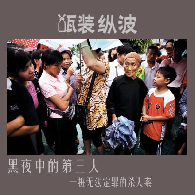 11.黑夜中的第三人：一桩无法定罪的杀人案