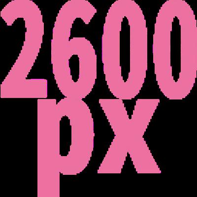 2600 x 2600