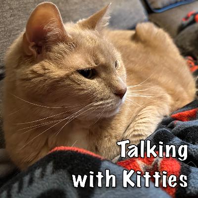 Technical Difficulties for All Technical Difficulties for All