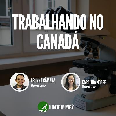 Dicas de como conseguir uma oportunidade profissional