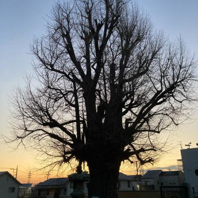 【大きな言葉と小さな言葉】《詩》木下愛郎