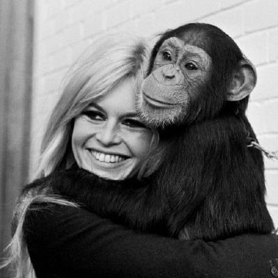 Brigitte Bardot – Le serment fait aux animaux Brigitte Bardot – Le serment fait aux animaux