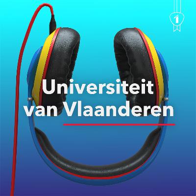 Toch niet zo alledaags: het asfaltlabo van UAntwerpen!