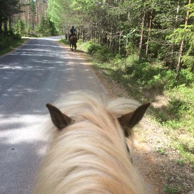 Turvallinen Maastoilu, vieraana vaellusohjaaja Nina Salovaara