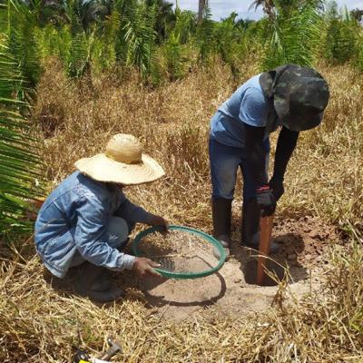 Em Campo com A Lasca Arqueologia: Estudos Arqueológicos e a Pesquisa no Laboratório no Projeto GVTE