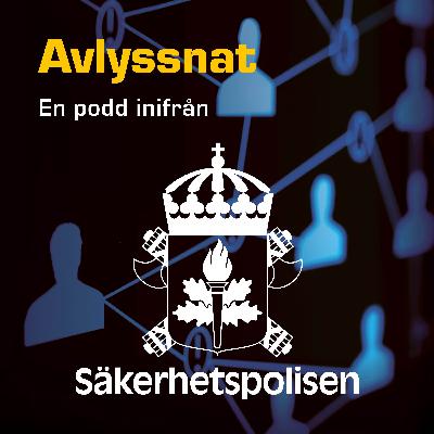 1. Hotet och skyddet – en lägesbild