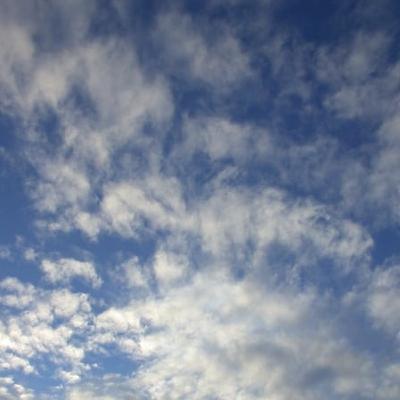 Weather Forcast Weather Forcast