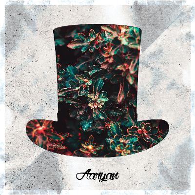 Aaryan Is Magician On Duty