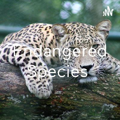 Endangered Species podcast