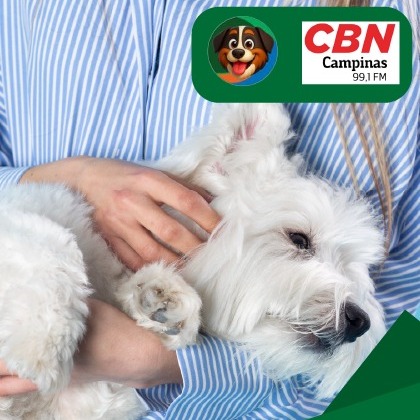 Campanha Novembro Azul Pet