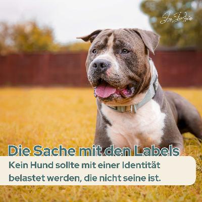 Die Sache mit den Labels – Angsthund, Listenhund, Tierschutzhund