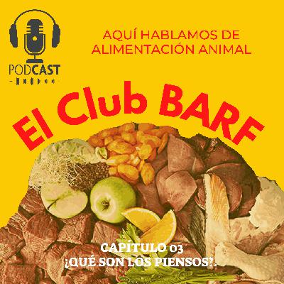 Capítulo 03 ¿Qué son los piensos?
