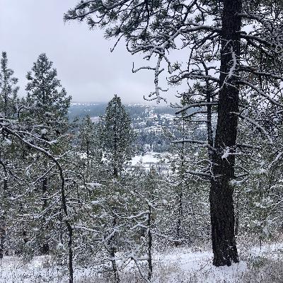 1.253🎵Fast Car/Pinch Me covers