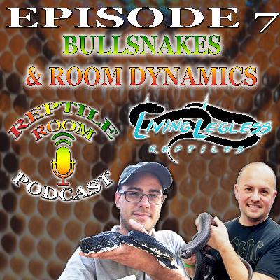 Bull Snakes and Room Dynamics with Travis Johnson