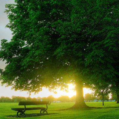 Dj Kirill sk - Beautiful melody Dj Kirill sk - Beautiful melody