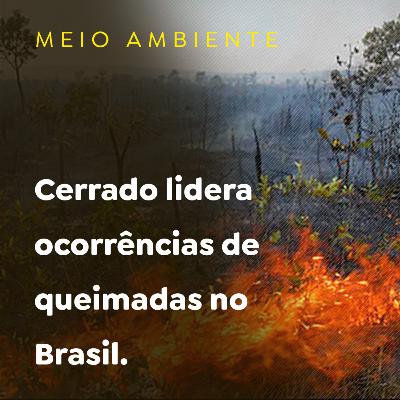 Cerrado lidera ocorrências de queimadas no Brasil
