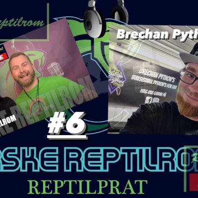 REPTILPRAT #6 Med Brechan Python´s