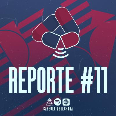 Reporte #11: Resumen semanal del 05/10/2020 al 12/10/2020