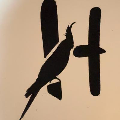 Hancock Cockatiels