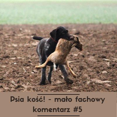 Psia kość! - mało fachowy komentarz #5