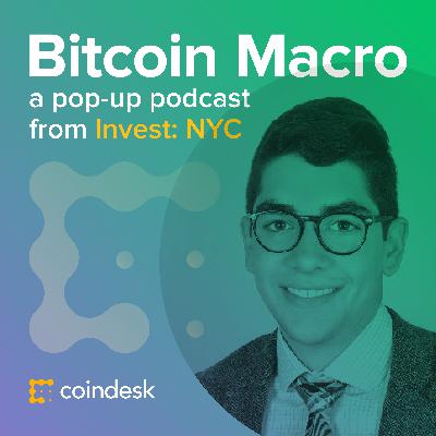 Nic Carter on Bitcoin’s Evolution as a Heterogenous Safe Haven Asset