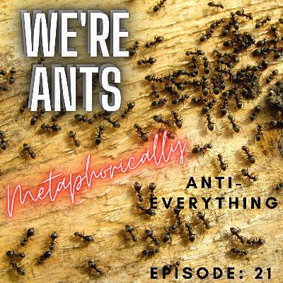 We're Ants (Metaphorically)