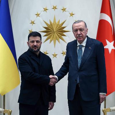 Erdogan, Zelenskyy hold talks in Ankara to revive diplomacy with Russia