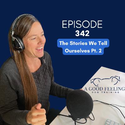 342. The Stories We Tell Ourselves Pt 2
