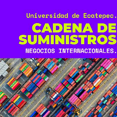 ¿QUÉ SON LAS CADENAS DE SUMINISTRO?
