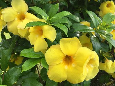 in the midst of grief, we must grieve.