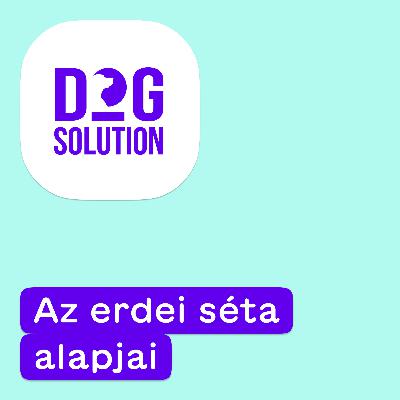 Dog Solution #01 - Mit tegyünk, ha jön a vaddisznó? Az erdei séta alapjai