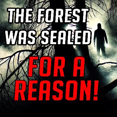 NEVER Enter This Forest! - Night Tales Creepypasta Podcast NEVER Enter This Forest! - Night Tales Creepypasta Podcast