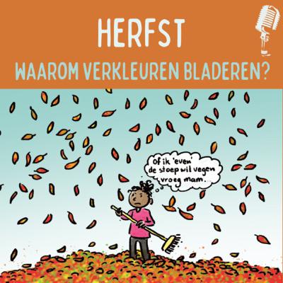 Herfst! Waarom verkleuren de bladeren? Herfst! Waarom verkleuren de bladeren?