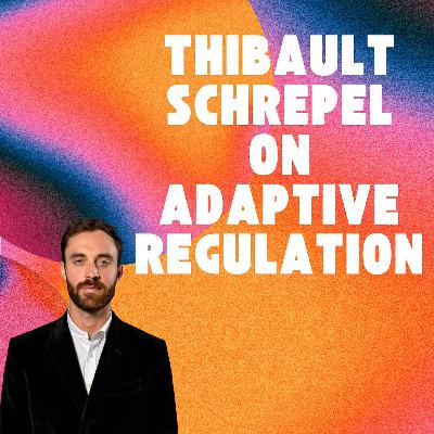 #23 – Thibault Schrepel: Adaptive Regulation