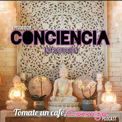 28. Conciencia (introducción).
