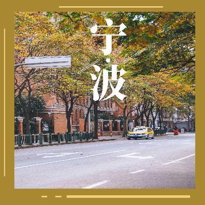 宁波旅行体验与城市魅力探寻！