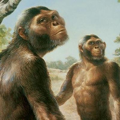 Lược sử ngoài người - Ep.1 - Bí mật đầu tiên