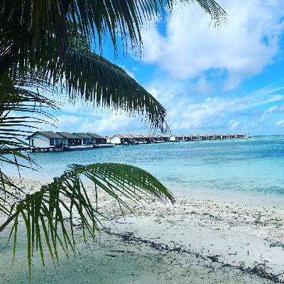 PANICO EN EL PARAISO