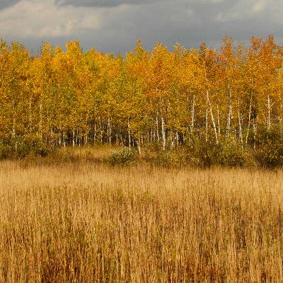 Para enfrentar nuestro miedo Para enfrentar nuestro miedo
