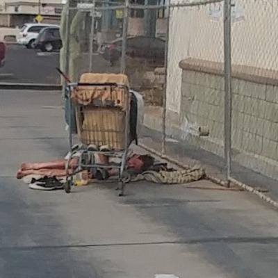 Misadventures In Small Business #18: Razor Wire and 80 Pounds of Frozen Chicken